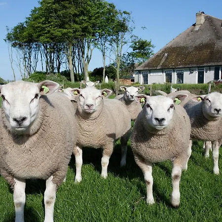 Stylish Island Retreat In * De Koog (Texel)