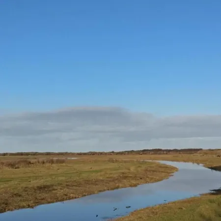 Stylish Island Retreat In * De Koog (Texel)